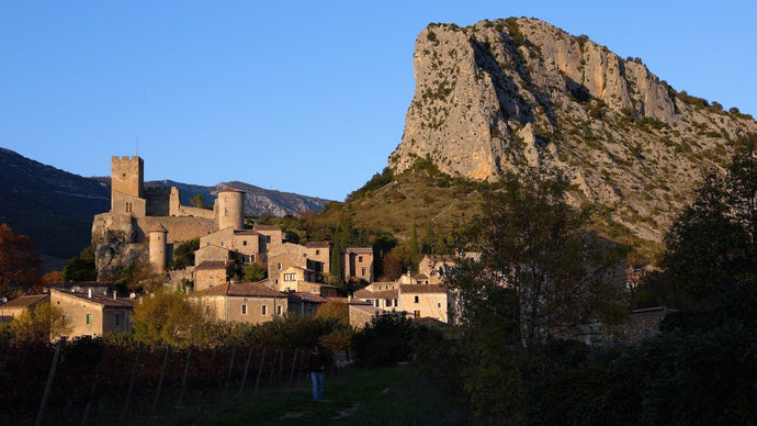 Le Languedoc : AOC Terrasses du Larzac